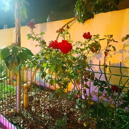 Casa Cristal 아파트