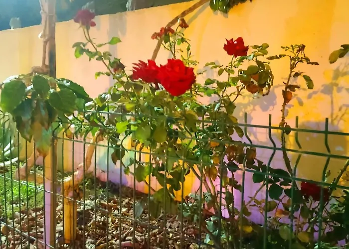 Casa Cristal شقة